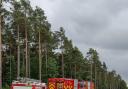 Large scale fire crew operation spotted in Swinley Forest
