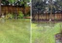 Photos show flooding that already happens in the garden of Linfield