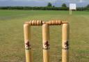 Two sets of three cricket stumps and two bails.