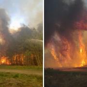 The Swinley Forest fire. Images via Rob Gazzard