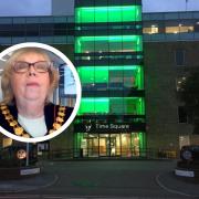 The motion to stop bullying and foster good behaviour was introduced by borough mayor cllr Ash Merry. Credit: Bracknell Forest Council / Microsoft Teams