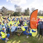 Wokingham Tree Project takes root