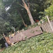 Homeowner's anger as huge oak tree smashes through summer house in back garden