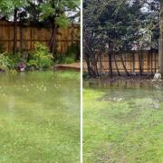 Photos show flooding that already happens in the garden of Linfield