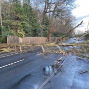 A tree reported to have fallen on Forest Road in North Ascot during Storm Henk