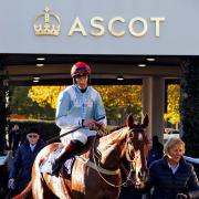 Vosne Romanee won at Ascot. Pictures by Sue Orpwood.