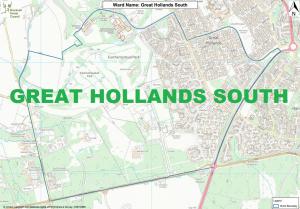 Great Hollands South: here's who's standing in your ward