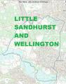 Little Sandhurst and Wellington: Here's who's standing in your ward