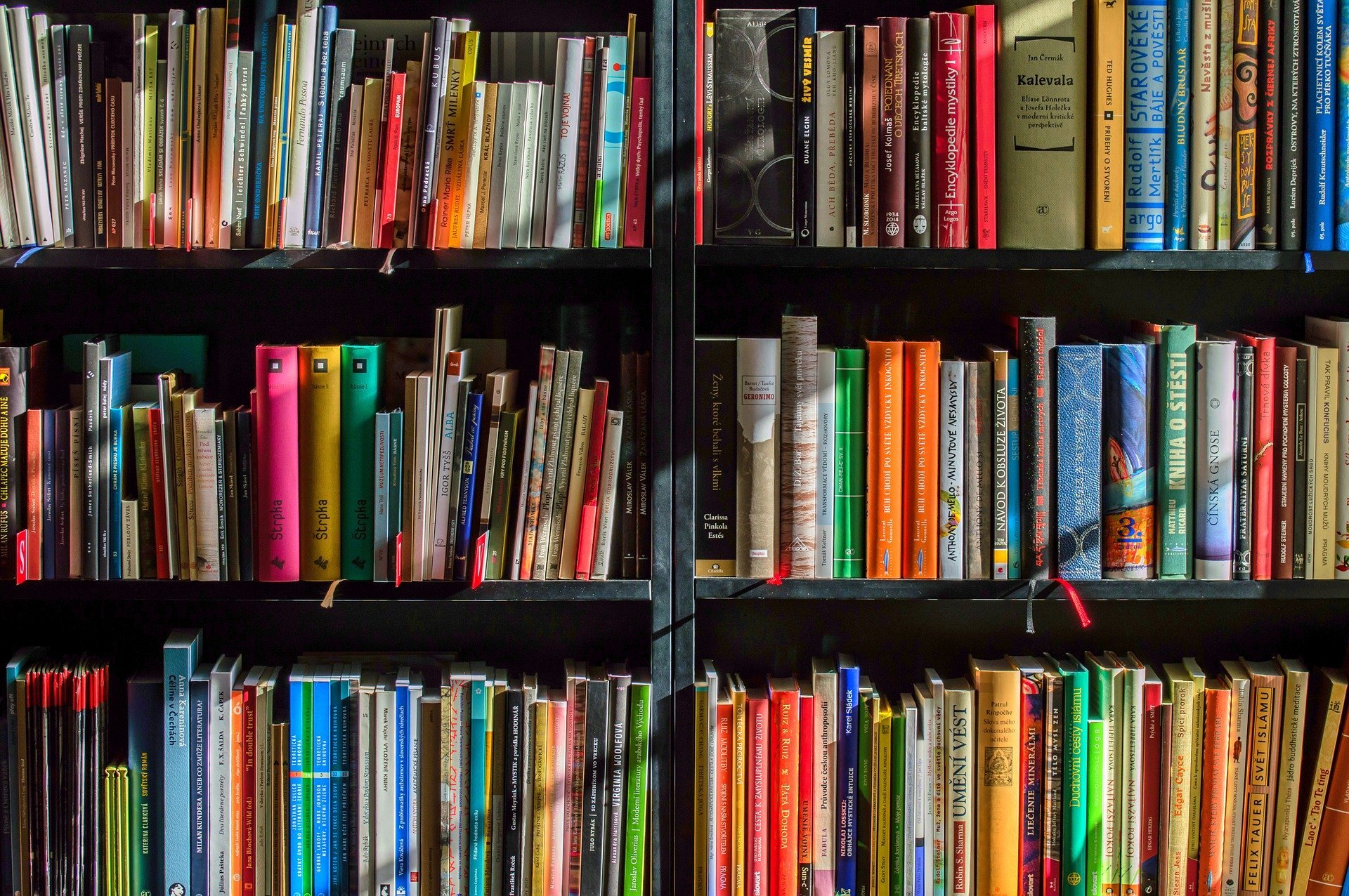 Stock image of library books