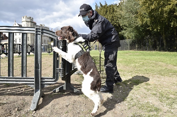 Dogs will search through bins and letter boxes. Images via Thames Valley Police