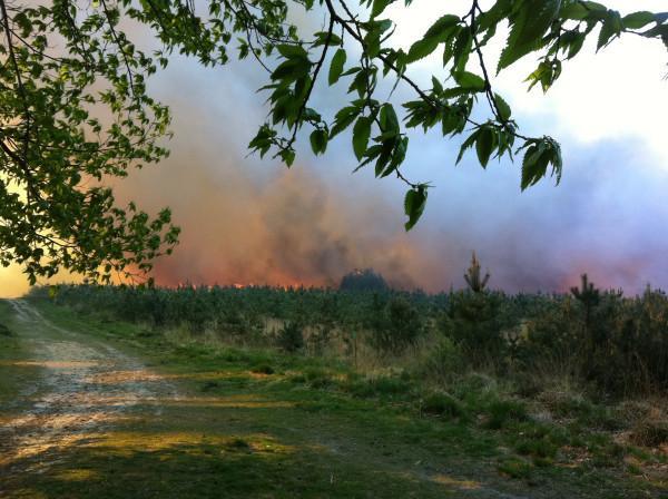 Swinley Forest fire lasted seven days.