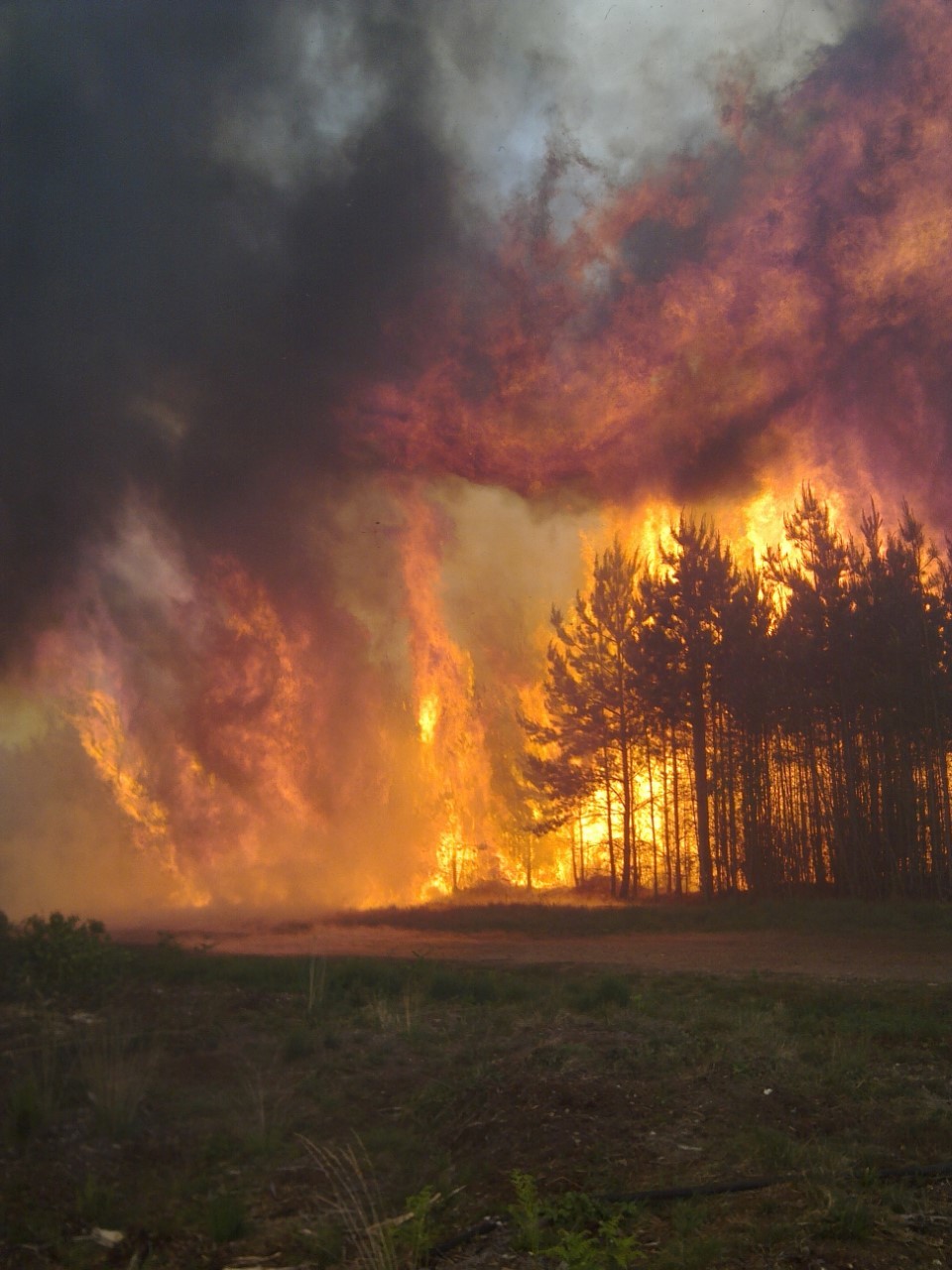 Swinley Forest fire lasted seven days. Image via Rob Gazzard.