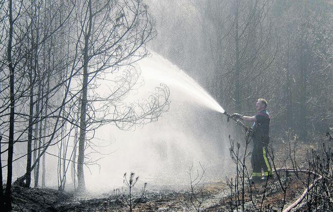 Swinley Forest fire lasted seven days.
