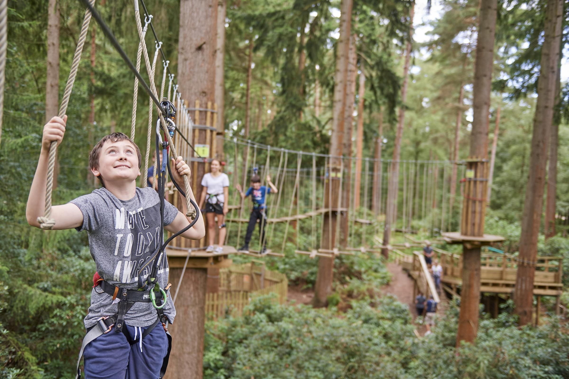 Go Ape Apologise After Participant Falls From Height Bracknell News