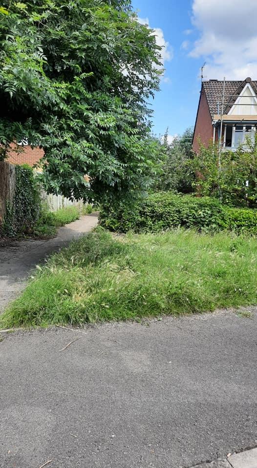 Bracknell News: Overgrown grass in Regent Close, Lower Earley. Credit: UGC