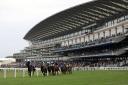 Royal Ascot 2023 - Live Updates of day three