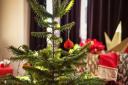 Would you buy an artificial Christmas tree to be more sustainable?