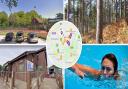 Everything you can do in Bracknell Forest and beyond