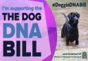 Bracknell MP James Sunderland has lent his support to the Doggie DNA Bill. Credit: Office of James Sunderland MP