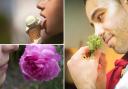 NHS share tips on how to regain your sense of taste and smell after Covid. (Canva)