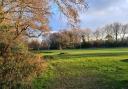 The Calfridus Way playing fields in Bracknell. Credit: Councillor Chris Turrell / Bracknell Town Council