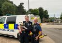 Paw patrol! 'Cheeky' dog reunited with owner after running loose in Crowthorne