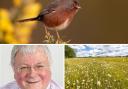 Biodiversity and wildflowers make up this week Bracknell leader's column