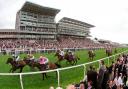 There’s a plan to promote York Racecourse in the United Arab Emirates Photo: Alamy