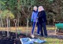 Council praises volunteers for work at Easthampstead Park Crematorium
