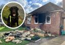 'We lost everything': Fire guts home as precious family pet makes narrow escape