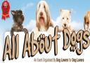 WIN: Tickets to All About Dogs