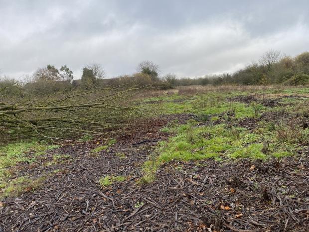Bracknell News: Neighbours were up in arms over the alleged 'deforestation' of Swallows Meadow in November 2020. Credit: Councillor Pauline Jorgensen