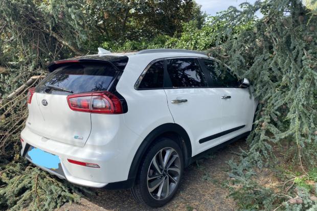 The resident had their car smashed by an unsafe tree when they were at the Salt Hill Activity Centre.