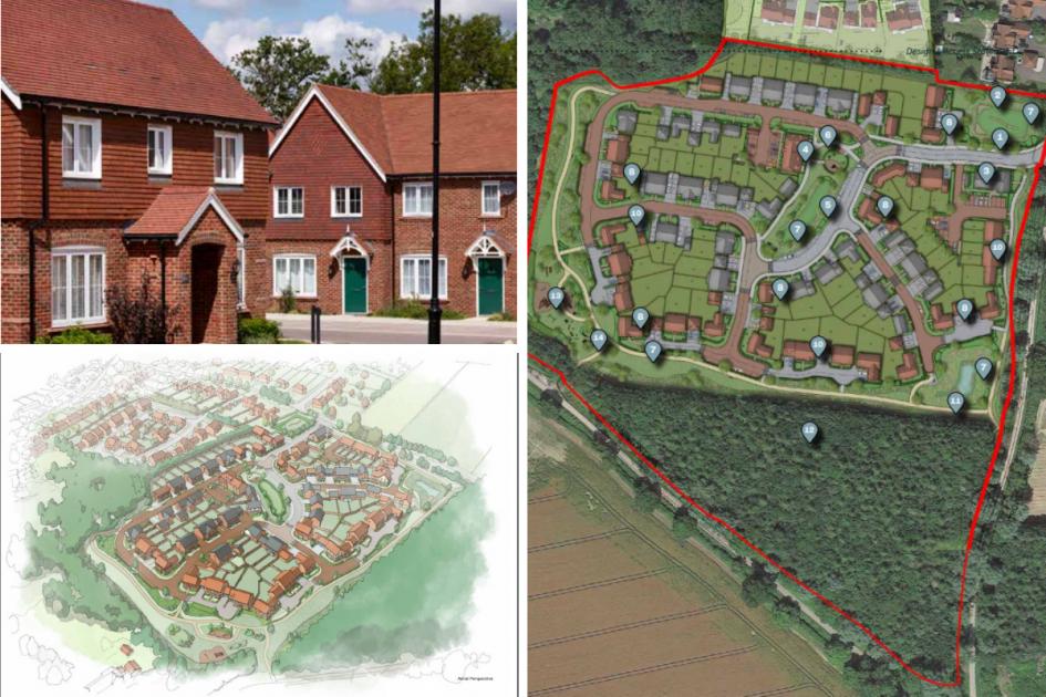 Crunch time for plan to build 81 homes in Swallowfield 