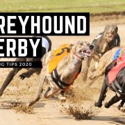 The English Greyhound Derby starts on Friday October 2