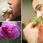 NHS share tips on how to regain your sense of taste and smell after Covid. (Canva)