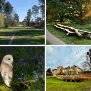 Top 10 things to do in Bracknell Forest