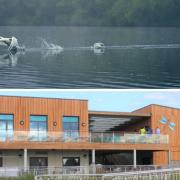 A swan lands on a lake at Dinton Pastures (photographed by Sharon Bust), where a £2.4m activity centre, pictured above, has opened to members of the public
