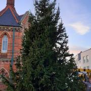The Christmas tree is erected in Wokingham