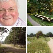 Bracknell Forest Council leader talks local parks and the Queen's Jubilee