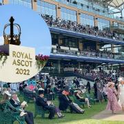 What it was like inside the Royal Enclosure at Ascot 2022