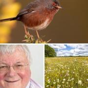 Biodiversity and wildflowers make up this week Bracknell leader's column