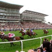There’s a plan to promote York Racecourse in the United Arab Emirates Photo: Alamy