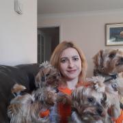 Council make plea for further accommodation for Ukrainian woman and four pups