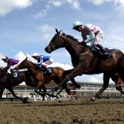 Here is how to watch Royal Ascot 2023 on TV and online