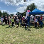 Paws in the Park 2019