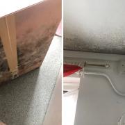 Extensive mould in Jerry Brombley's Silva Homes flat