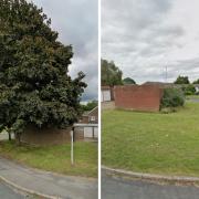 The two grass verges on Holland Pines in Bracknell