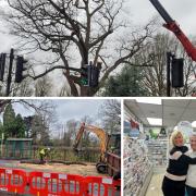 Residents react as 300 year old oak tree is cut down in Wokingham