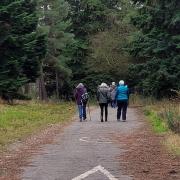Bracknell Wellbeing Walk every Tuesday and Thursday